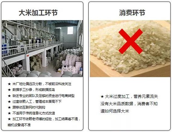 坤湛科技獲首輪融資2000萬美金后：攜手杰曼科技助力大米數字化轉型